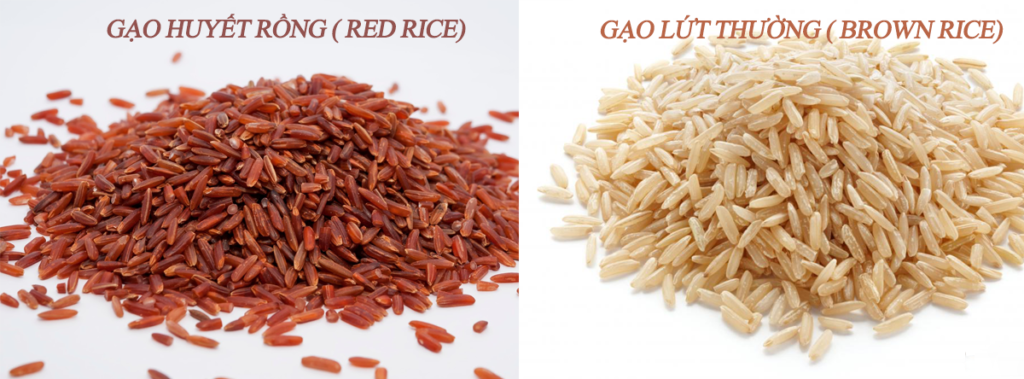 gạo lứt và gạo trắng
