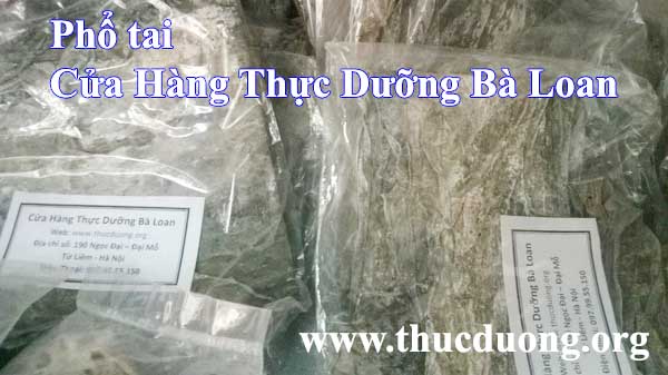 Phổ tai rong biển