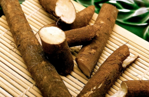 Ngưu bàng là cây gì?